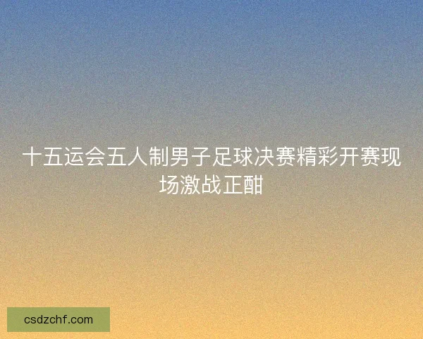 十五运会五人制男子足球决赛精彩开赛现场激战正酣
